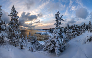 Картинка природа пейзажи деревья снег