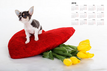 обоя календари, животные, собака, взгляд, сердце, цветы