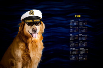 Картинка календари животные взгляд собака кепка