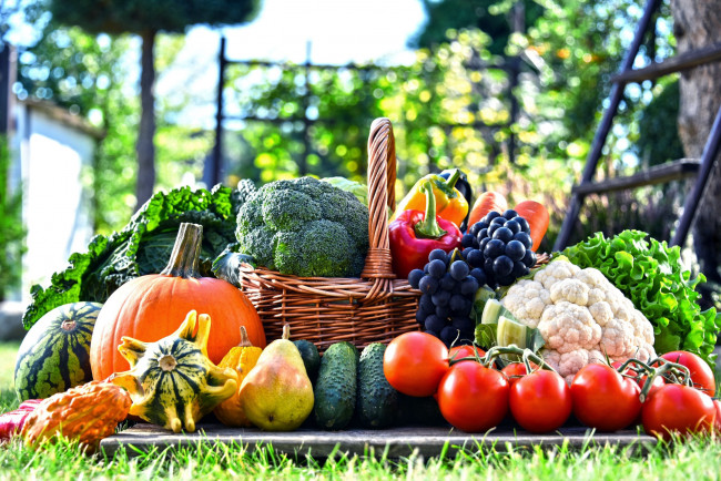 Обои картинки фото еда, фрукты и овощи вместе, арбуз, капуста, тыква, помидоры, груши, виноград, томаты