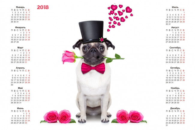 Обои картинки фото календари, животные, сердце, собака, белый, фон, роза, шляпа