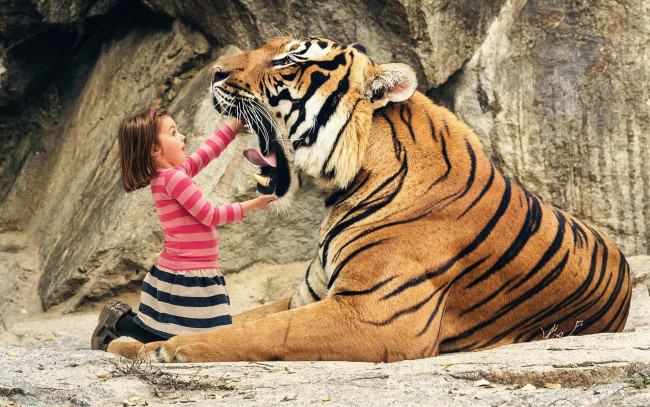 Обои картинки фото разное, компьютерный дизайн, девочка, тигр, пасть