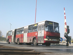 Картинка икарус автомобили автобусы