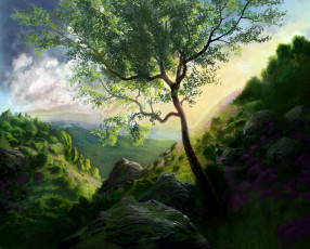 Картинка рисованные природа дерево