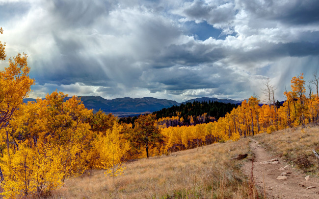 Обои картинки фото aspen, colorado, природа, пейзажи, осень, деревья, горы