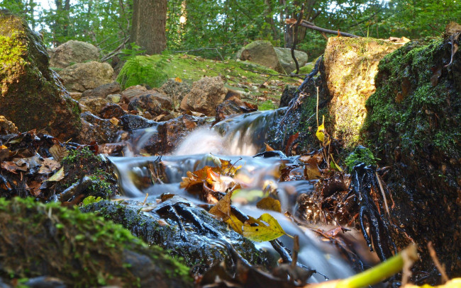 Обои картинки фото природа, реки, озера, листья, камни, осень, ручей, лес
