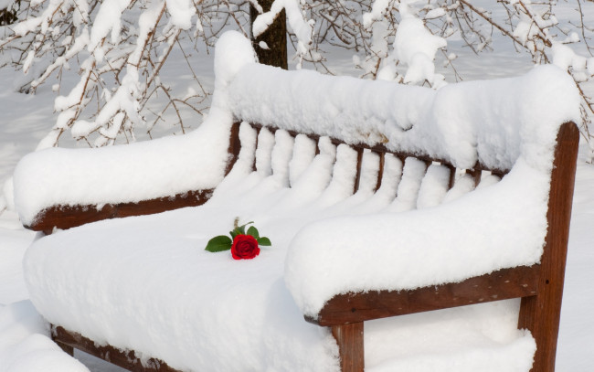 Обои картинки фото природа, зима, роза, скамейка, снег