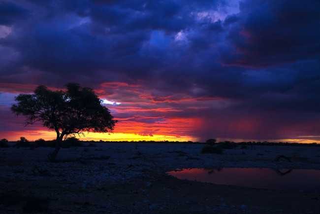 Обои картинки фото намибия, природа, восходы, закаты, вода, дерево, солнце