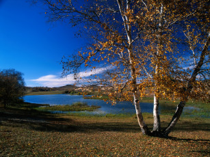 Картинка природа реки озера река осень