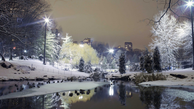 Обои картинки фото природа, зима, парк, ночь, огни, здания, река