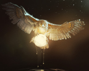 Картинка рисованное животные +птицы +совы +филины птица сова moon owl