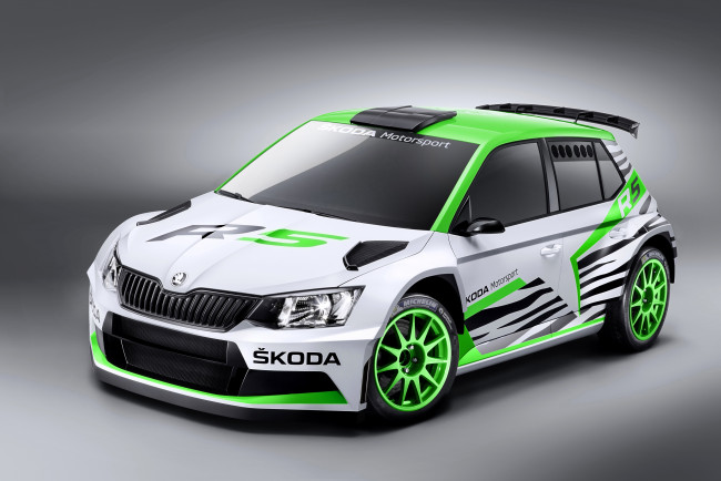 Обои картинки фото автомобили, skoda, зеленый, светлый, 2014г, r5, concept, fabia