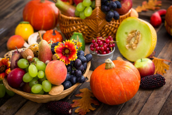 Картинка еда фрукты+и+овощи+вместе осень виноград тыква autumn grapes harvest pumpkin персик