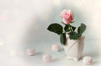 Картинка еда конфеты +шоколад +сладости ваза зефир розовый бутон роза
