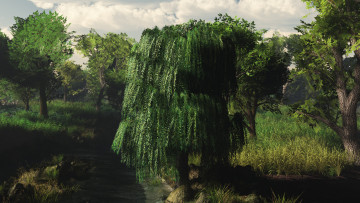 Картинка 3д+графика природа+ nature деревья облака река