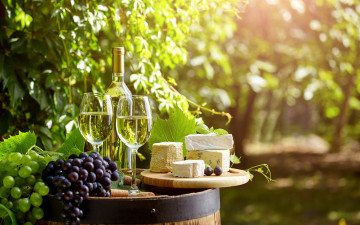 обоя еда, напитки,  вино, виноград, вино, бокалы, бутылка, бочка, зелень, сад, сыр, пробки, боке