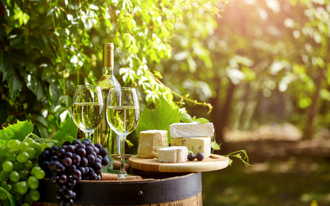 Обои картинки фото еда, напитки,  вино, виноград, вино, бокалы, бутылка, бочка, зелень, сад, сыр, пробки, боке