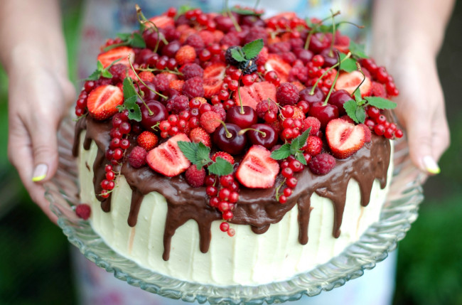 Обои картинки фото еда, торты, смородина, малина, клубника, шоколад, мята, ягоды, вишня, торт