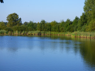 Картинка природа реки озера простор река лето