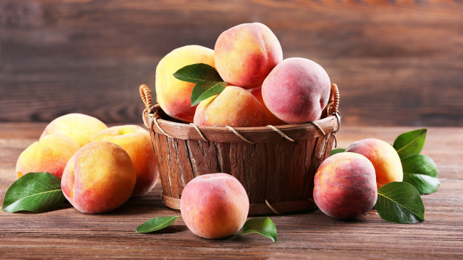 Обои картинки фото еда, персики,  сливы,  абрикосы
