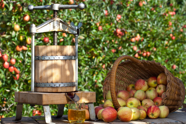 Обои картинки фото Яблоки, еда, плоды, сок, корзина