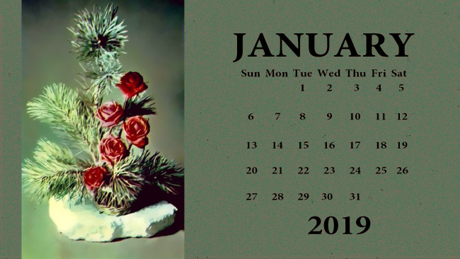 Обои картинки фото календари, праздники,  салюты, ветка, цветы