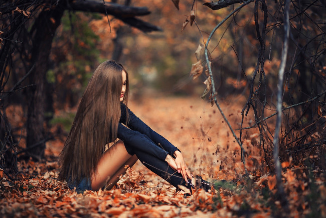 Обои картинки фото девушки, - брюнетки,  шатенки, лес, шатенка, осень, листопад
