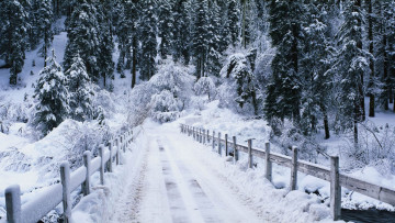 обоя природа, зима, мост, лес, снег