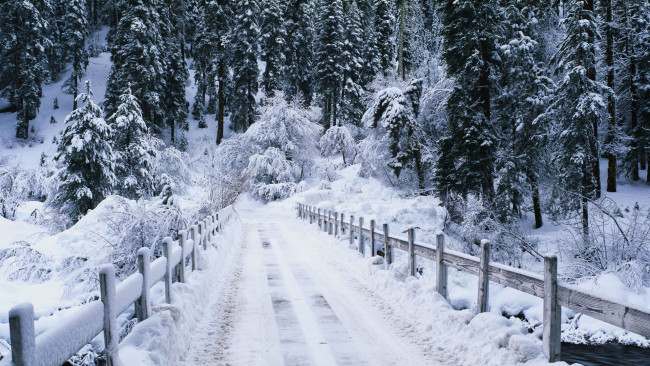 Обои картинки фото природа, зима, мост, лес, снег