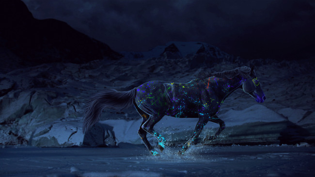 Обои картинки фото рисованные, животные, лошадь, конь