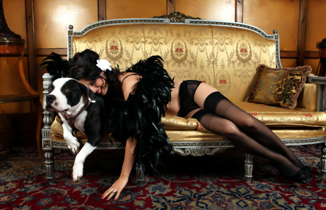 Обои картинки фото Monika Pietrasinska, девушки, , , боа, чулки, собака