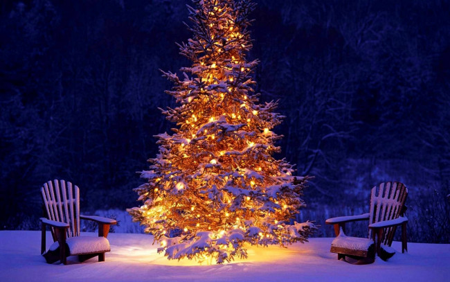 Обои картинки фото праздничные, Ёлки, кресла, огни, елка, снег, зима