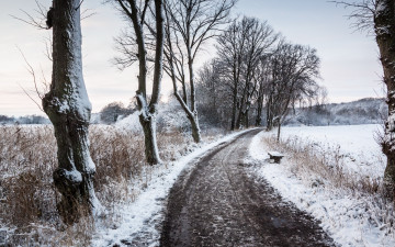 Картинка природа дороги скамья зима дорога