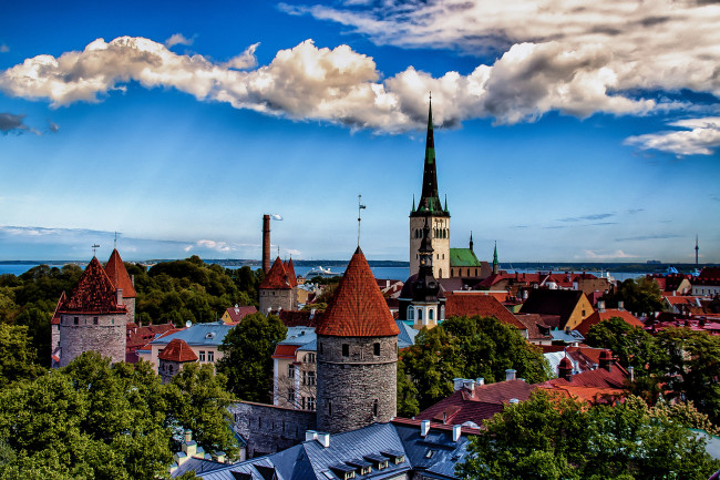 Обои картинки фото города, таллин , эстония, панорама, дома, деревья, пейзаж, башня, таллинн, море