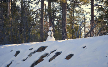 Картинка праздничные снеговики лес снеговик склон