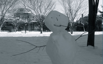 Картинка праздничные снеговики снеговик снег здание парк