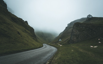 обоя природа, дороги, шоссе, туман