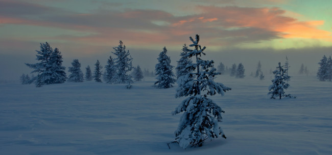 Обои картинки фото природа, зима, снег, ночь, туман