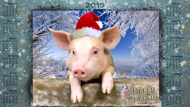 Обои картинки фото календари, праздники,  салюты, поросенок, шапка, свинья, ветка