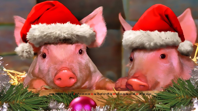 Обои картинки фото календари, праздники,  салюты, ветка, игрушка, шар, шапка, свинья, поросенок