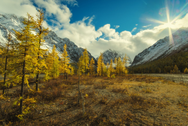 Обои картинки фото горный алтай, природа, горы, осень, облака, россия, деревья, горный, алтай