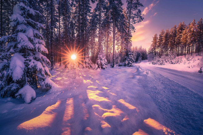 Обои картинки фото природа, зима, дорога, солнце
