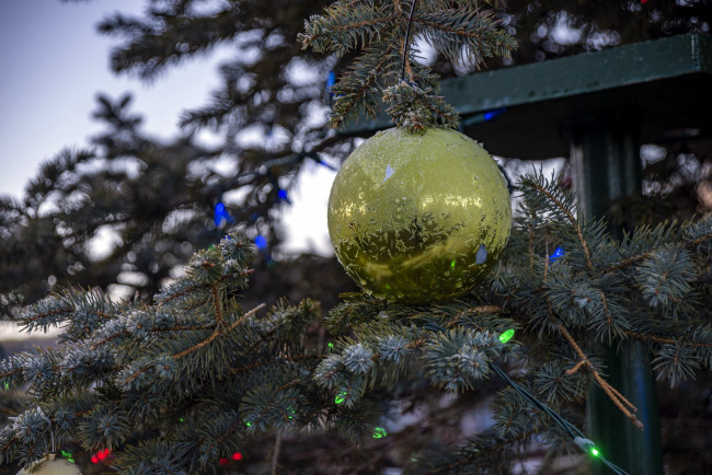 Обои картинки фото праздничные, шары, елка, шарик, гирлянда