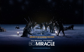 Картинка big miracle кино фильмы