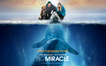 Картинка big miracle кино фильмы