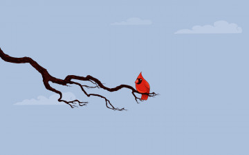 Картинка рисованные животные птицы кардинал птица ветка