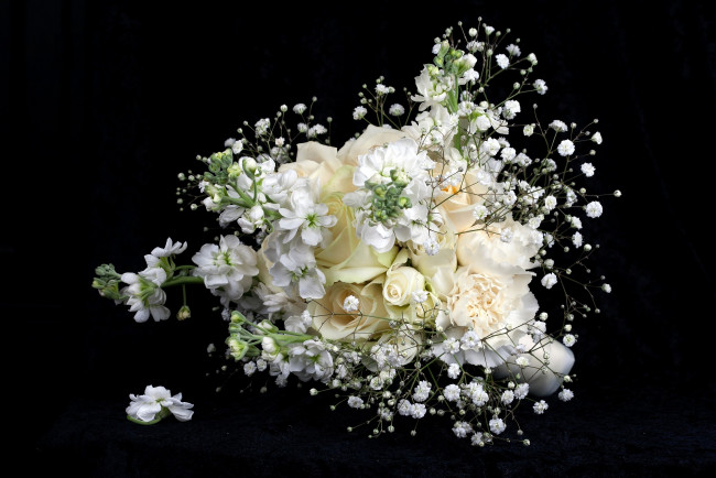 Обои картинки фото цветы, букеты, композиции, розы, белый, кремовый