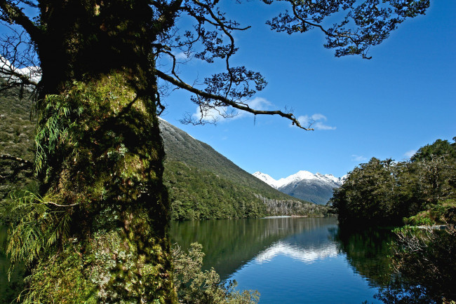 Обои картинки фото lake, fergus, природа, реки, озера, fiordland