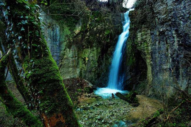 Обои картинки фото природа, водопады, мох, деревья, скалы
