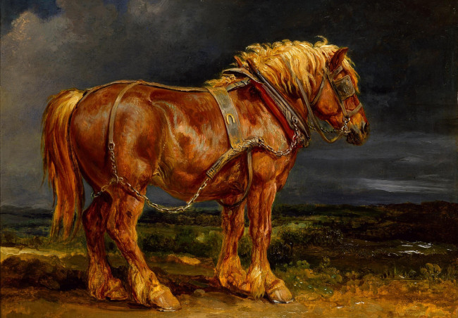Обои картинки фото рисованные, животные, лошади, рыжий, тучи, сбруя, лошадь